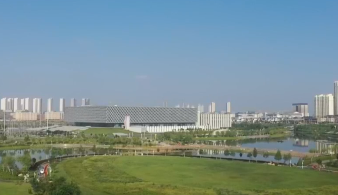 瞰新區(11月11日)